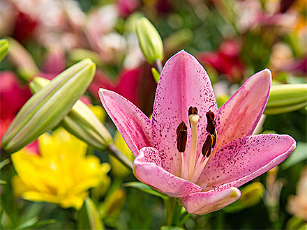 D:\wwwroot\E30\public\upload\article\2018\07\03\eca3d2f7162d862d301407b0276ad999.jpg D:\wwwroot\E30\public\upload\article\2018\07\03\eca3d2f7162d862d301407b0276ad999.jpg